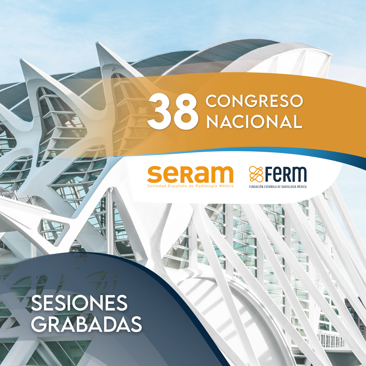 Sesiones grabadas del 38º Congreso Nacional SERAM