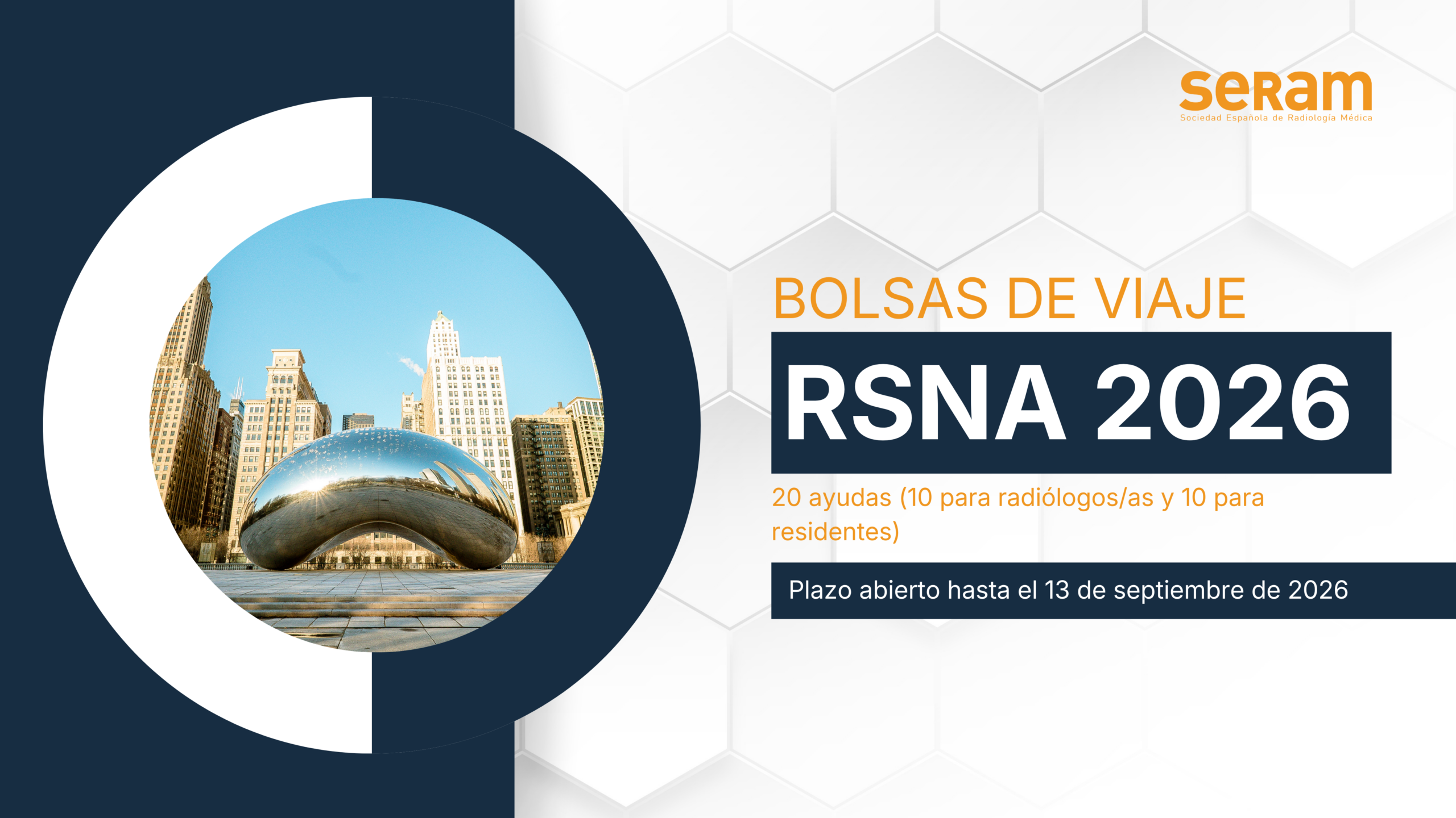Bolsa de viaje RSNA ok (1)